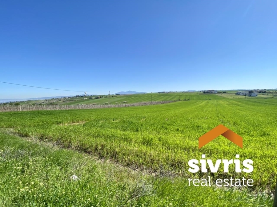 (For Sale) Land Agricultural Land  || Thessaloniki Suburbs/Thermaikos - 7.260 Sq.m, 100.000€ 