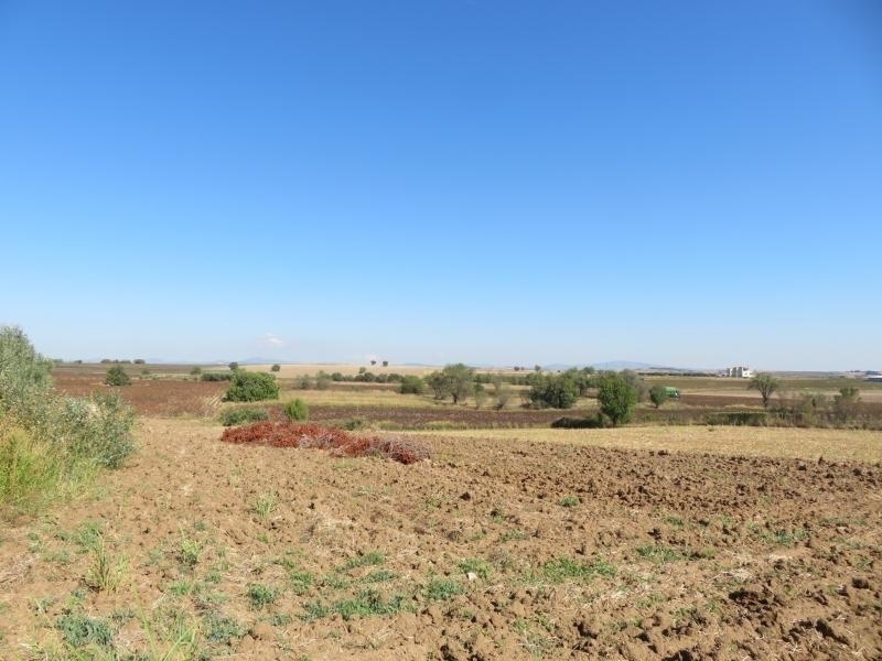 (For Sale) Land Agricultural Land  || Thessaloniki Suburbs/Epanomi - 2.301 Sq.m, 30.000€ 
