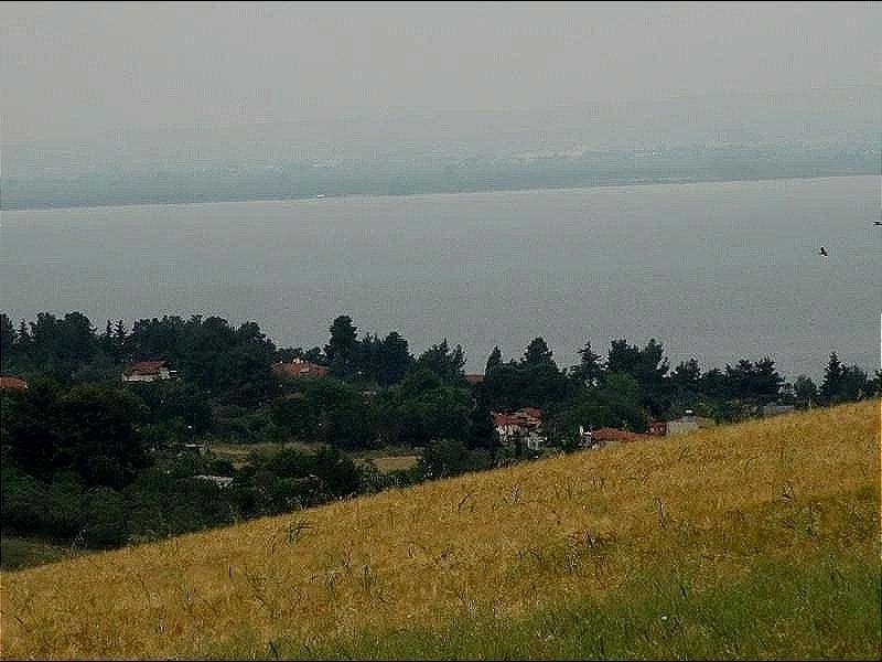 (For Sale) Αξιοποιήσιμη Γη Agricultural Land  || Thessaloniki Suburbs/Epanomi - 10.000 τ.μ, 195.000€ 