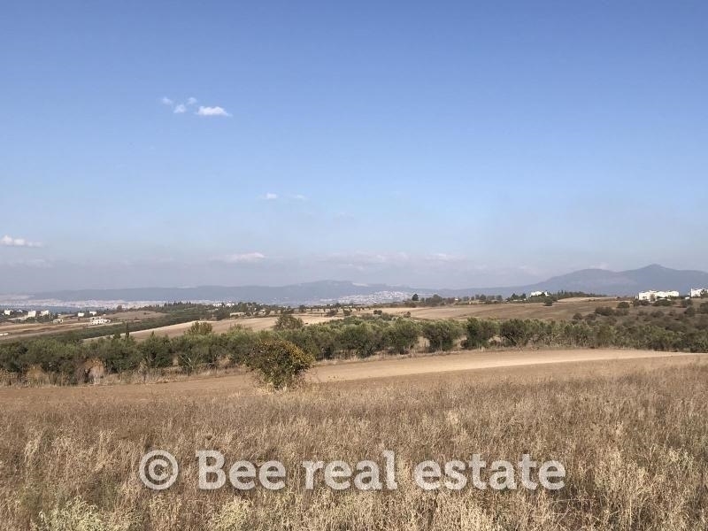 (For Sale) Land Agricultural Land  || Thessaloniki Suburbs/Thermaikos - 7.237 Sq.m, 110.000€ 