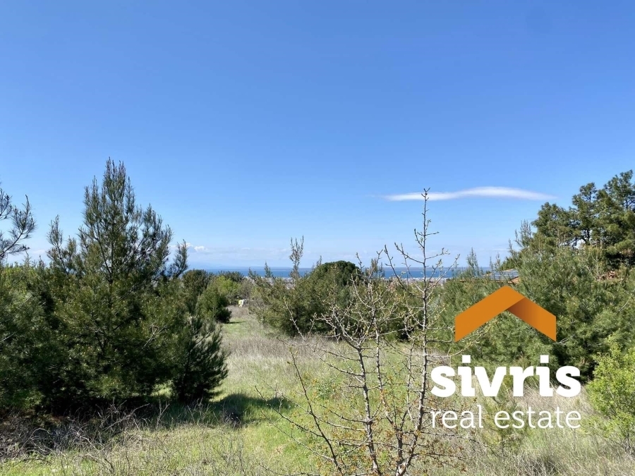 (Продажа) Земли Сельскохозяйственные угодья || Салоники Пригороды/Пилеа - 4.064 кв.м, 580.000€ 