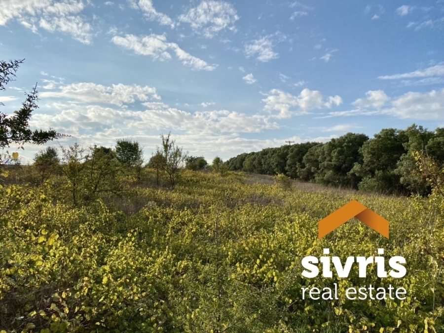(For Sale) Land Agricultural Land  || Thessaloniki Suburbs/Mikra - 7.000 Sq.m, 140.000€ 